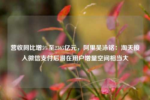 营收同比增5%至2365亿元，阿里吴泳铭：淘天接入微信支付后潜在用户增量空间相当大