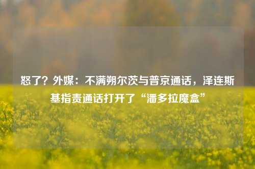 怒了？外媒：不满朔尔茨与普京通话，泽连斯基指责通话打开了“潘多拉魔盒”