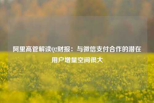 阿里高管解读Q2财报：与微信支付合作的潜在用户增量空间很大