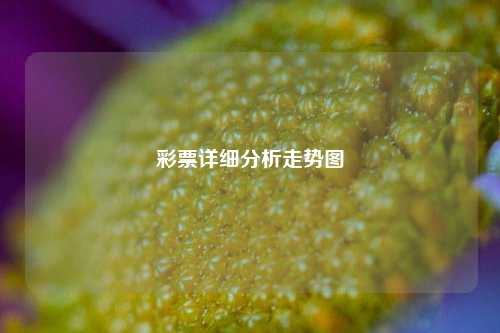 彩票详细分析走势图