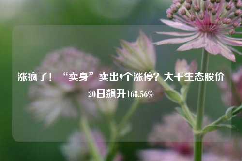 涨疯了！“卖身”卖出9个涨停？大千生态股价20日飙升168.56%