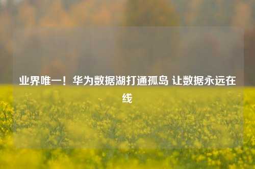 业界唯一！华为数据湖打通孤岛 让数据永远在线