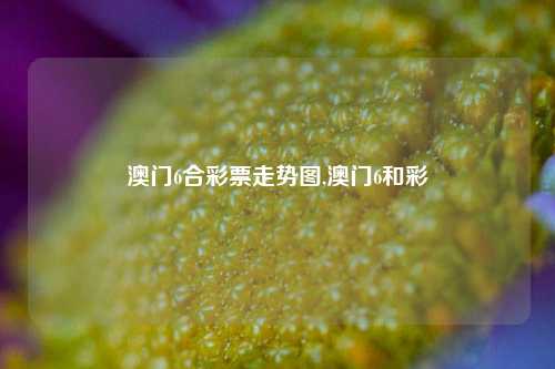 澳门6合彩票走势图,澳门6和彩