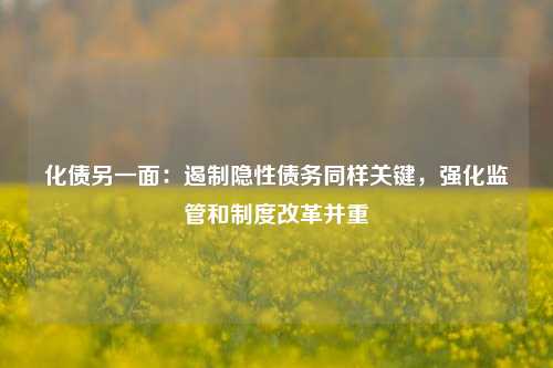 化债另一面：遏制隐性债务同样关键，强化监管和制度改革并重