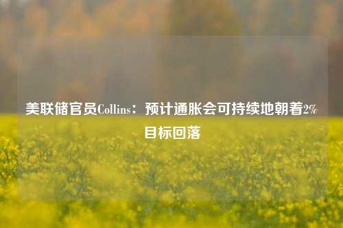 美联储官员Collins：预计通胀会可持续地朝着2%目标回落