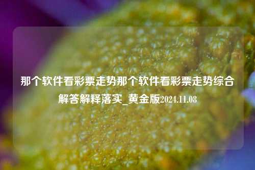 那个软件看彩票走势那个软件看彩票走势综合解答解释落实_黄金版2024.11.08