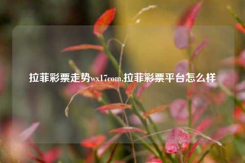 拉菲彩票走势wx17com,拉菲彩票平台怎么样