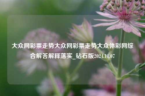 大众网彩票走势大众网彩票走势大众体彩网综合解答解释落实_钻石版2024.11.07