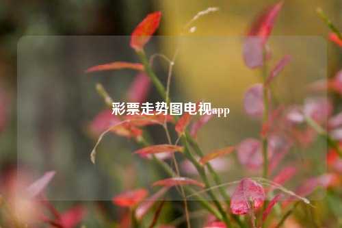 彩票走势图电视app