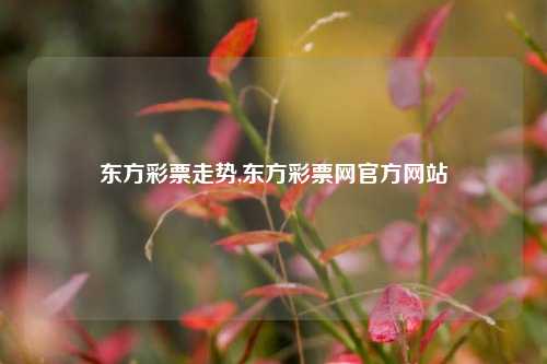 东方彩票走势,东方彩票网官方网站