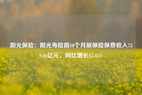 阳光保险：阳光寿险前10个月原保险保费收入739.66亿元，同比增长15.45%