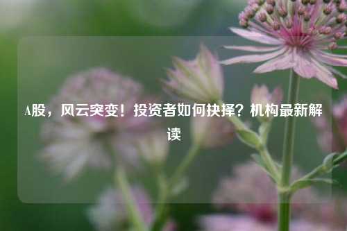 A股，风云突变！投资者如何抉择？机构最新解读