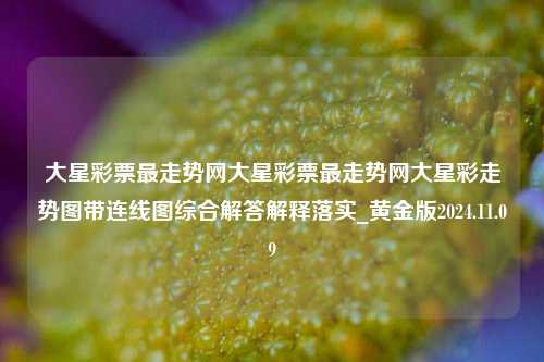 大星彩票最走势网大星彩票最走势网大星彩走势图带连线图综合解答解释落实_黄金版2024.11.09