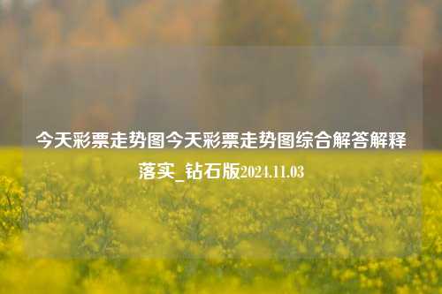 今天彩票走势图今天彩票走势图综合解答解释落实_钻石版2024.11.03