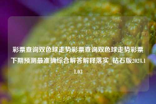 彩票查询双色球走势彩票查询双色球走势彩票下期预测最准确综合解答解释落实_钻石版2024.11.03