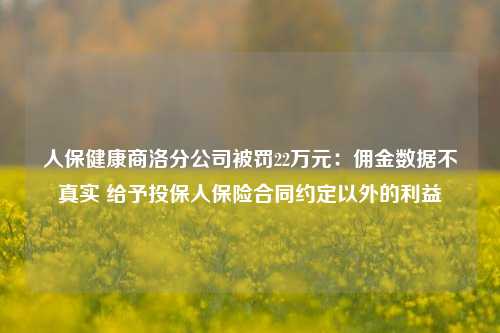 人保健康商洛分公司被罚22万元：佣金数据不真实 给予投保人保险合同约定以外的利益