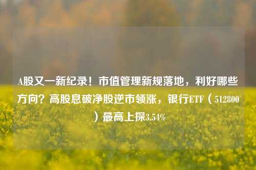 A股又一新纪录！市值管理新规落地，利好哪些方向？高股息破净股逆市领涨，银行ETF（512800）最高上探3.54%