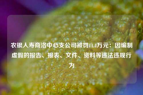 农银人寿商洛中心支公司被罚11.4万元：因编制虚假的报告、报表、文件、资料等违法违规行为