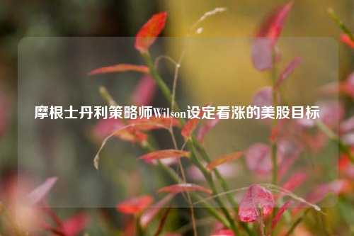 摩根士丹利策略师Wilson设定看涨的美股目标