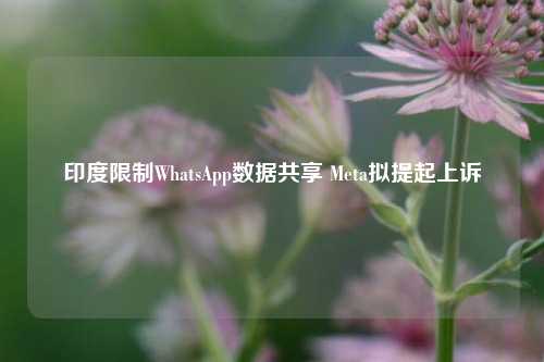 印度限制WhatsApp数据共享 Meta拟提起上诉