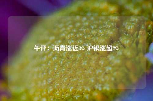 午评：沥青涨近3% 沪银涨超2%