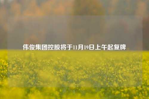 伟俊集团控股将于11月19日上午起复牌