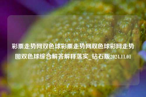 彩票走势网双色球彩票走势网双色球彩网走势图双色球综合解答解释落实_钻石版2024.11.01