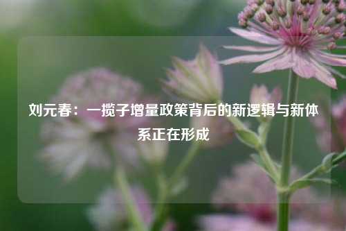 刘元春：一揽子增量政策背后的新逻辑与新体系正在形成