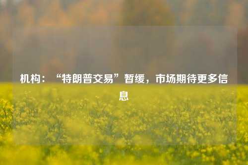 机构：“特朗普交易”暂缓，市场期待更多信息