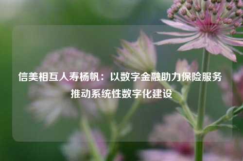 信美相互人寿杨帆：以数字金融助力保险服务 推动系统性数字化建设