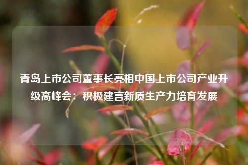 青岛上市公司董事长亮相中国上市公司产业升级高峰会：积极建言新质生产力培育发展