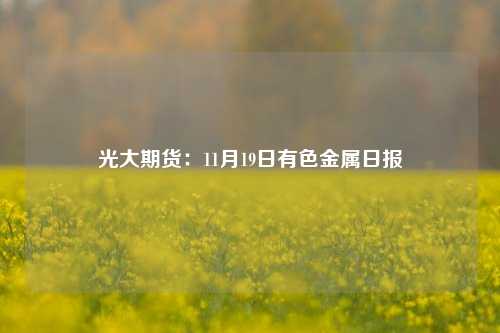 光大期货：11月19日有色金属日报