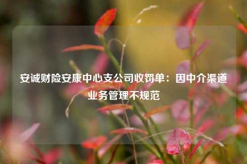 安诚财险安康中心支公司收罚单：因中介渠道业务管理不规范