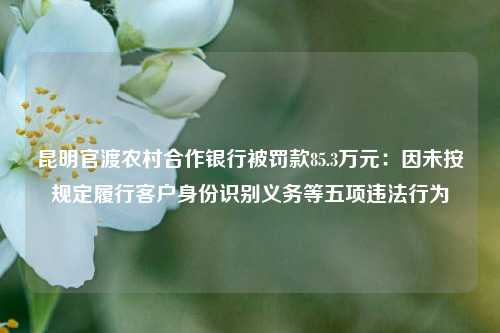 昆明官渡农村合作银行被罚款85.3万元：因未按规定履行客户身份识别义务等五项违法行为