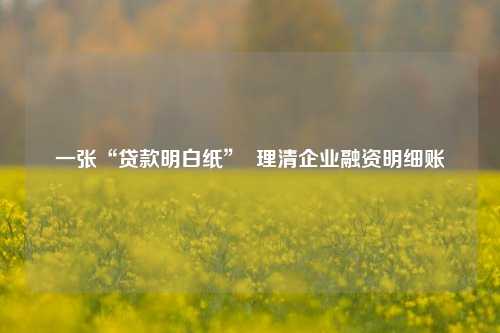 一张“贷款明白纸”  理清企业融资明细账