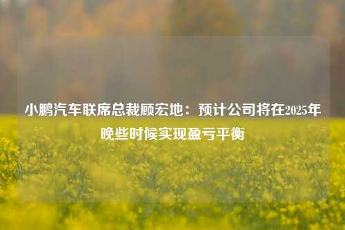 小鹏汽车联席总裁顾宏地：预计公司将在2025年晚些时候实现盈亏平衡