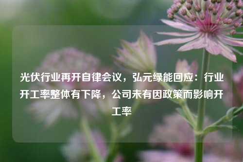 光伏行业再开自律会议，弘元绿能回应：行业开工率整体有下降，公司未有因政策而影响开工率