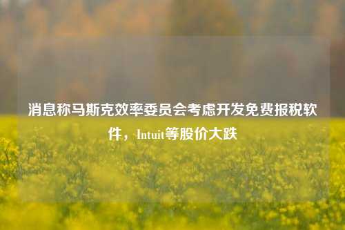 消息称马斯克效率委员会考虑开发免费报税软件，Intuit等股价大跌