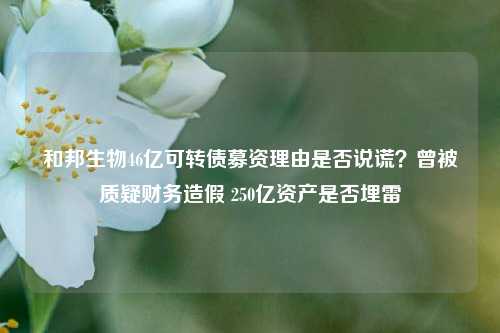 和邦生物46亿可转债募资理由是否说谎？曾被质疑财务造假 250亿资产是否埋雷