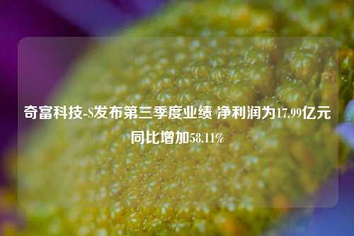 奇富科技-S发布第三季度业绩 净利润为17.99亿元同比增加58.11%