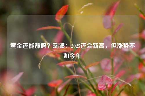 黄金还能涨吗？瑞银：2025还会新高，但涨势不如今年