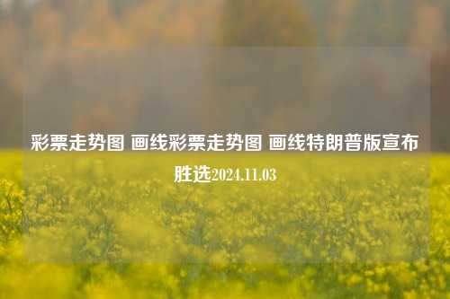 彩票走势图 画线彩票走势图 画线特朗普版宣布胜选2024.11.03