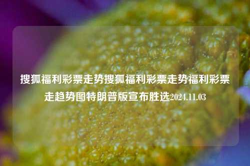 搜狐福利彩票走势搜狐福利彩票走势福利彩票走趋势图特朗普版宣布胜选2024.11.03