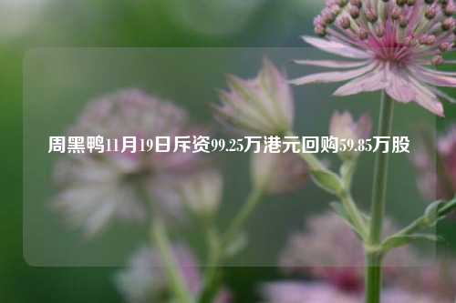 周黑鸭11月19日斥资99.25万港元回购59.85万股