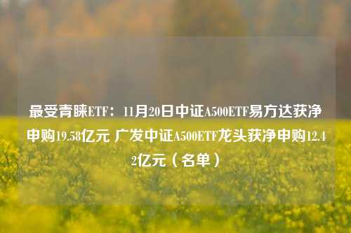 最受青睐ETF：11月20日中证A500ETF易方达获净申购19.58亿元 广发中证A500ETF龙头获净申购12.42亿元（名单）