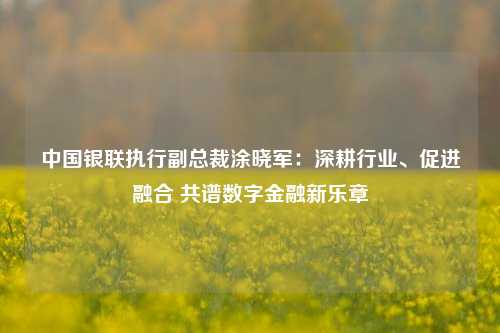 中国银联执行副总裁涂晓军：深耕行业、促进融合 共谱数字金融新乐章