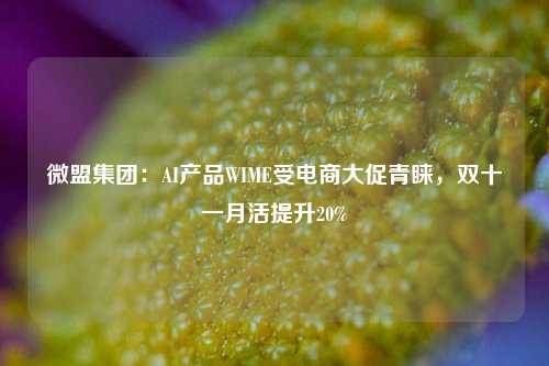 微盟集团：AI产品WIME受电商大促青睐，双十一月活提升20%