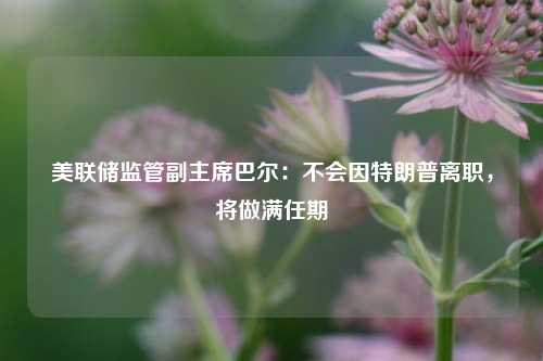 美联储监管副主席巴尔：不会因特朗普离职，将做满任期