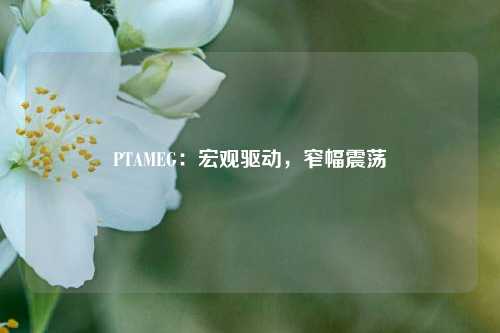 PTAMEG：宏观驱动，窄幅震荡