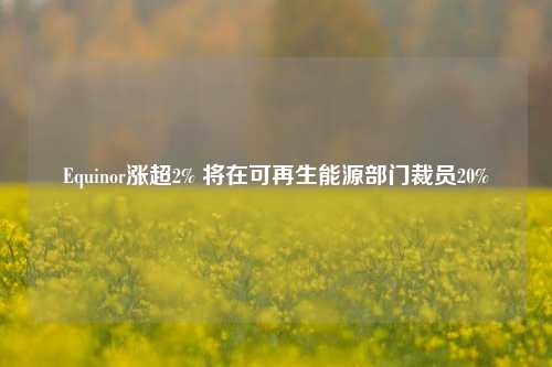 Equinor涨超2% 将在可再生能源部门裁员20%